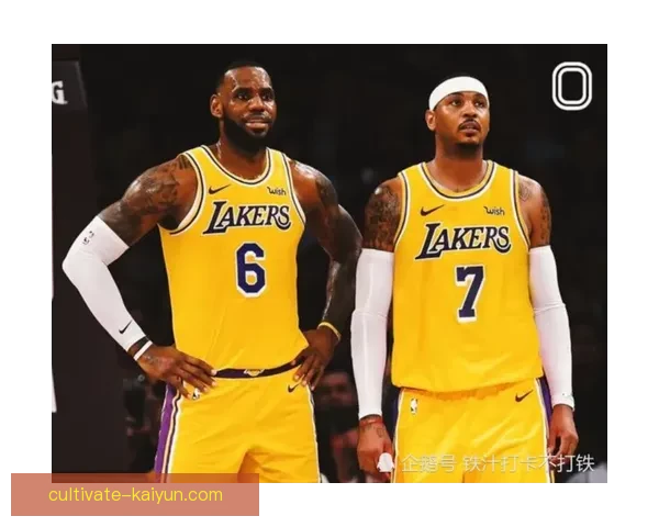 湖人队新赛季阵容大揭秘，詹姆斯与浓眉携手冲击总冠军荣耀
